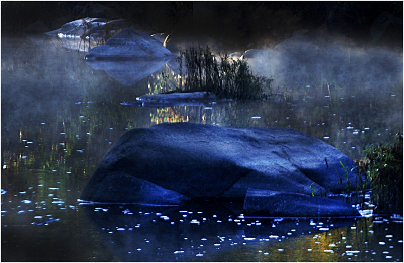 694 - FOGGY BOTTOMS - YORK DON - united states.jpg